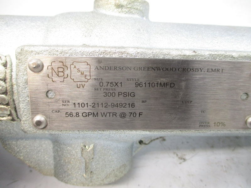ANDERSON GREENWOOD CROSBY 961101MFD 300PSI NSNP