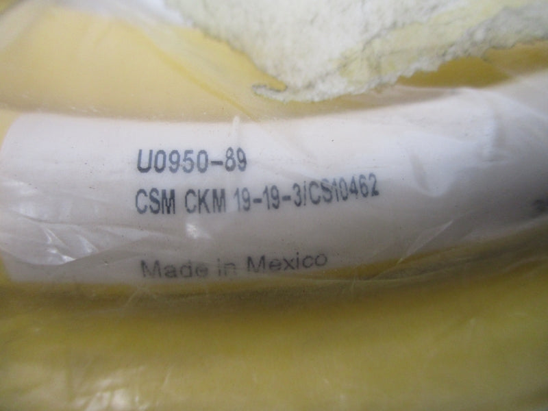 TURCK CSMCKM19-19-3/CS10462 U0950-89 NSMP