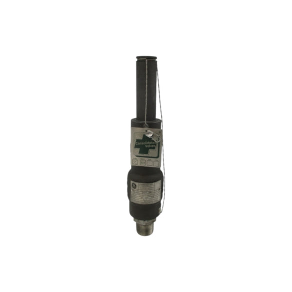 GENERAL ELECTRIC 19110MCF-2-CC-MS-31-MT-FT-LH 800PSI 1" NSNP