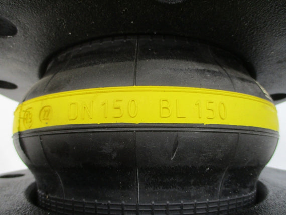 GARLOCK DN150BL150 6" NSNP