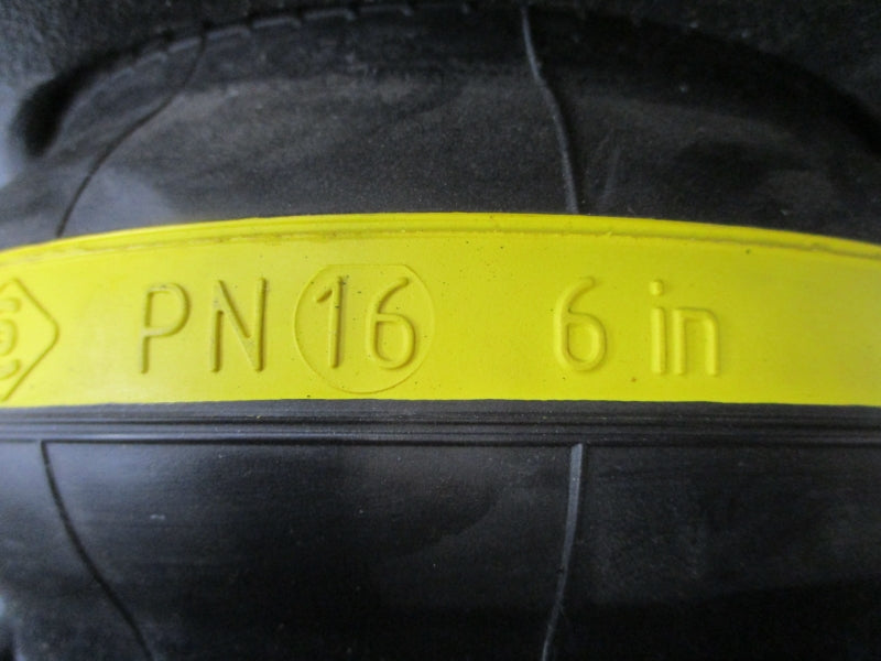 GARLOCK DN150BL150 6" NSNP