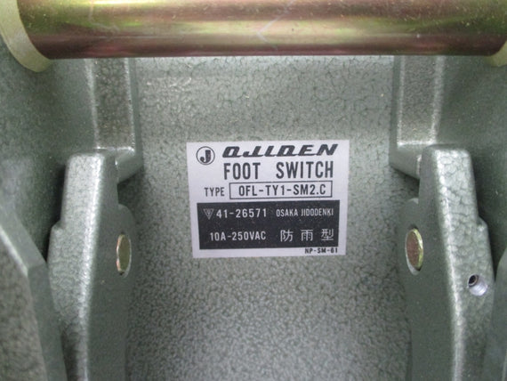 OJIDEN OFL-TY1-SM2.C 250VAC 10A NSNP