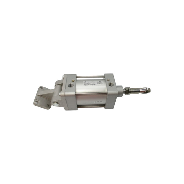 PIMATIC P2520R-100/25-50 NSNP