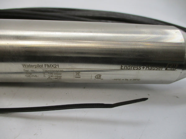 ENDRESS&HAUSER FMX21-CD221CGB15A 10.5-35VDC REV. 1 NSNP