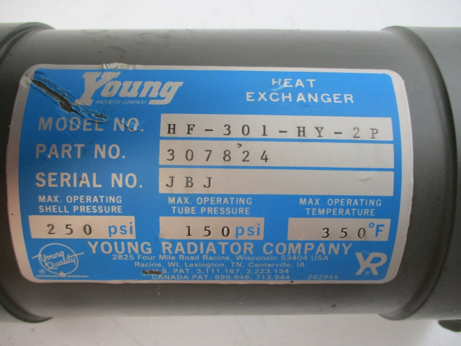 YOUNG HF-301-HY-2P 307824 150/250PSI 350'F NSNP