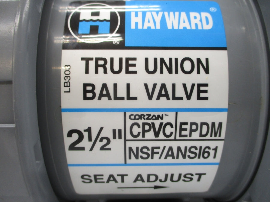 HAYWARD TB2250SE 2-1/2" NSMP