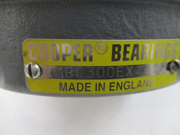 COOPER BEARINGS 01BC300EX NSNP