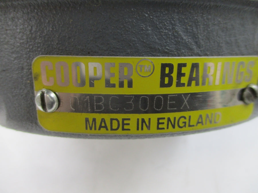 COOPER BEARINGS 01BC300EX NSNP