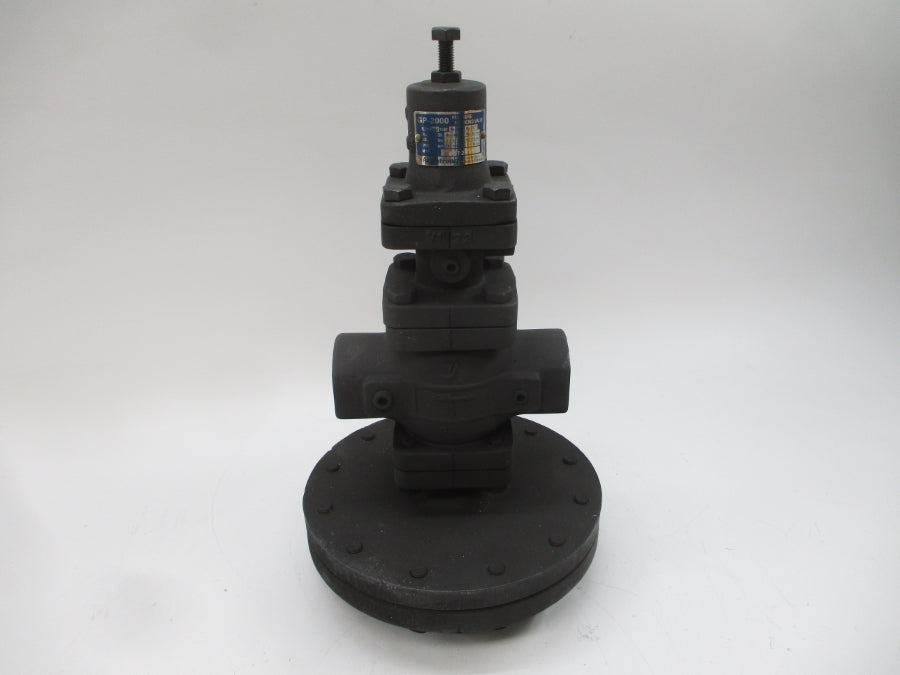 ARMSTRONG D25475 GP-2000 25A 15-200PSI 1" NSMP