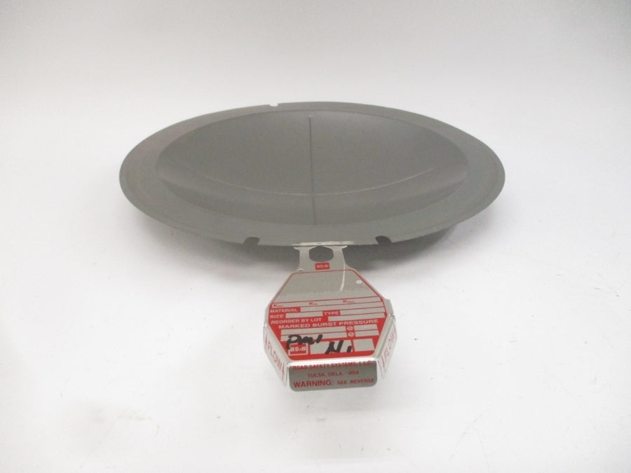 BS&B SAFETY SYSTEMS S90 RD-UT-01-1,RD-UT-01-2 40PSI 100'F 10" NSMP