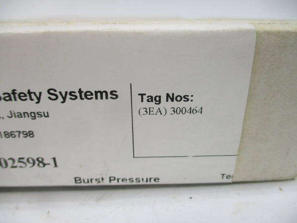 BS&B SAFETY SYSTEMS RB-90 300464 180PSI 400'F 2" NSMP