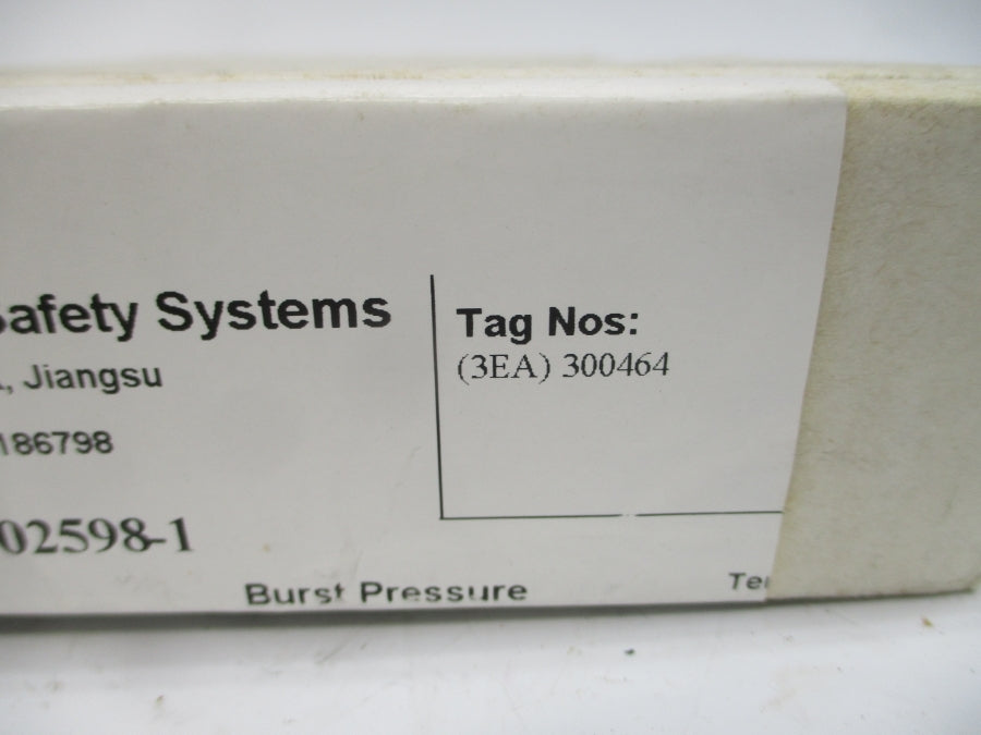 BS&B SAFETY SYSTEMS RB-90 300464 180PSI 400'F 2" NSMP