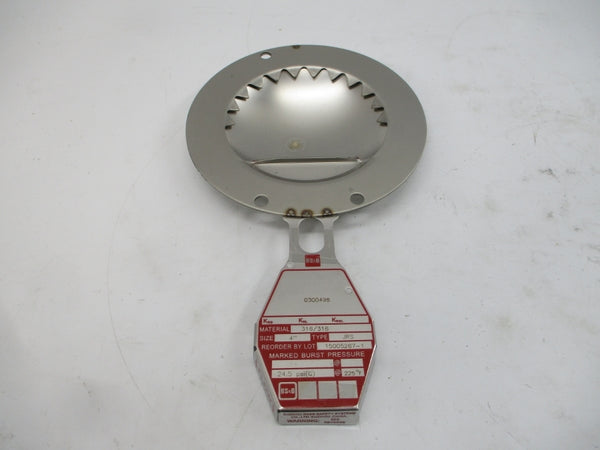 BS&B SAFETY SYSTEMS JRS 0300498 24.5PSI 225'F 4" NSMP