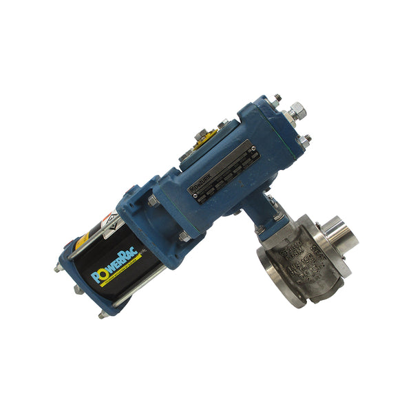 DEZURIK 9635596R005 B16.34 1" NSNP