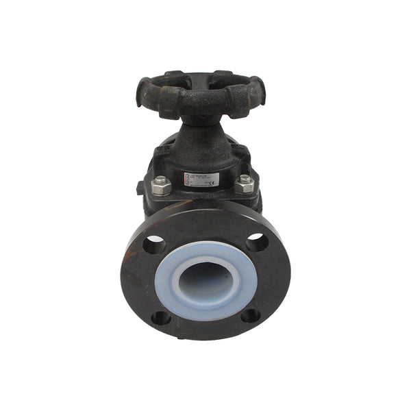 GEMU 67550D3917140 150PSI 2" NSNP