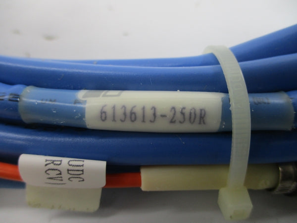 RELIANCE ELECTRIC 613613-250R NSMP