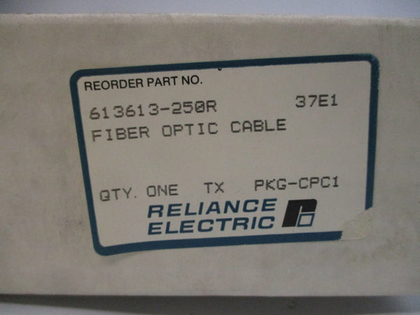 RELIANCE ELECTRIC 613613-250R NSMP