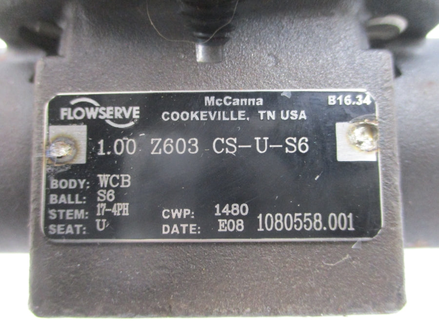 FLOWSERVE Z603-CS-U-S6 1.00" NSNP