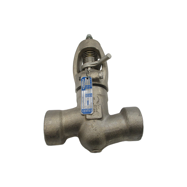 CONVAL 13P2J-F225E-2199 7613PSI 0.75" NSNP