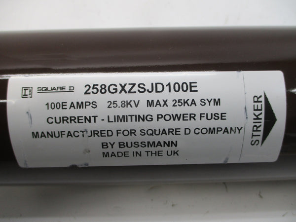 SQUARE D 258GXZSJD100E 100EA NSNP