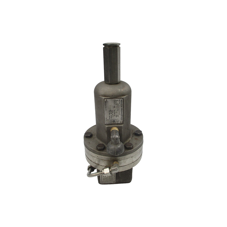 ANDERSON GREENWOOD 52605P46/S1 160PSI 4" UNMP
