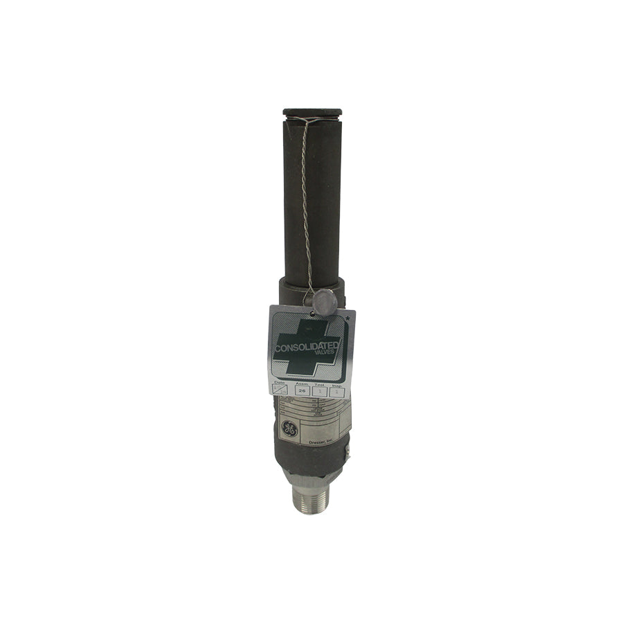 GENERAL ELECTRIC 19110LC-2-CC-MS-31-MT-FT-LA 150PSI 3/4" NSNP