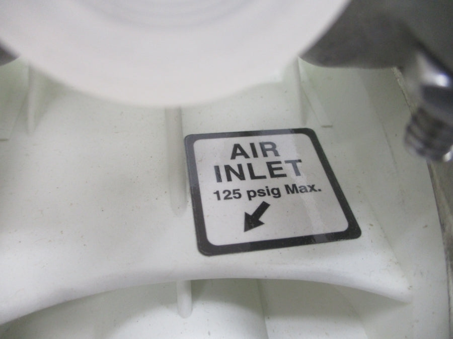 WILDEN P1/PPPPP/WFS/WF/KWF 01-0110 125PSI NSNP