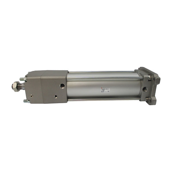 SMC CNA2G100-250-D-XC3BD NSNP