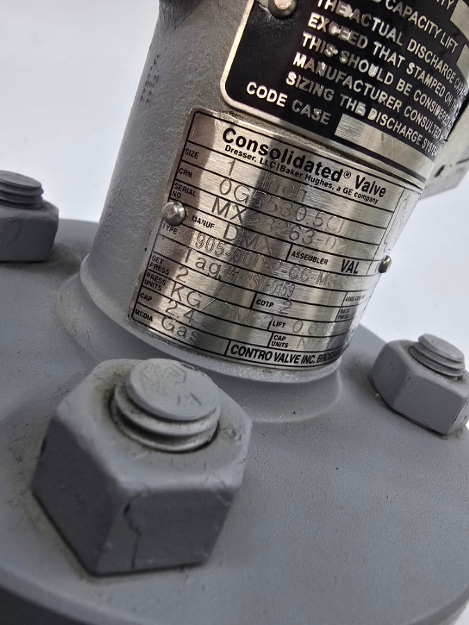 CONSOLIDATED VALVE 1905-00D-2-CC-MS-31-RF-GS-LP 1" NSNP