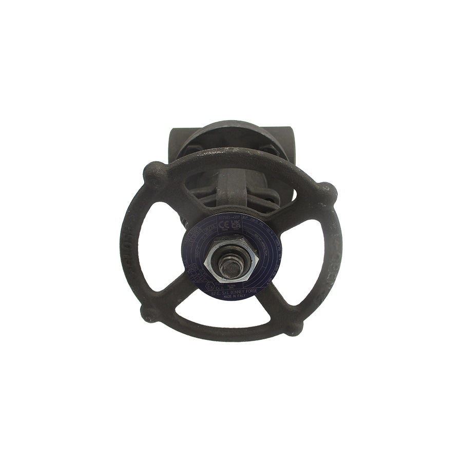 BONNEY FORGE HL11-LE 227562-*007 1975PSI 2" NSNP