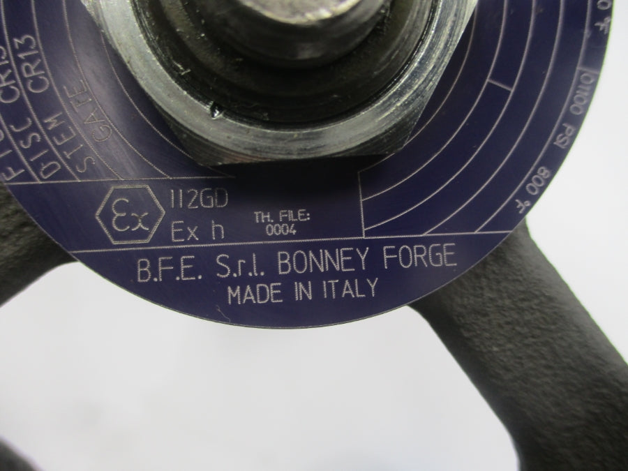 BONNEY FORGE HL11-LE 227562-*007 1975PSI 2" NSNP