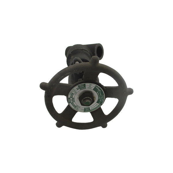 FLOWSERVE B16.34LTD SW810 GLOBE 56500-2R2 2000PSI 3/4" UNMP