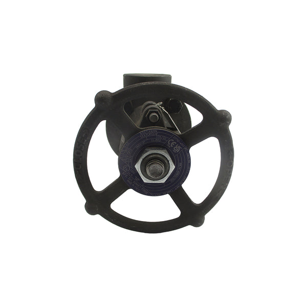 BONNEY FORGE HL11-LE 217797-*003 1975PSI 2" UNMP