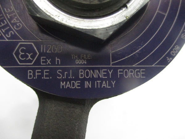BONNEY FORGE HL11-LE 217797-*003 1975PSI 2" UNMP