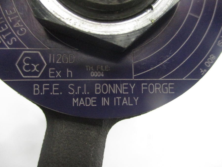BONNEY FORGE HL11-LE 217797-*003 1975PSI 2" UNMP