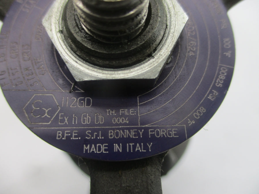 BONNEY FORGE L611-LE 227743-*008 825PSI 1" UNMP
