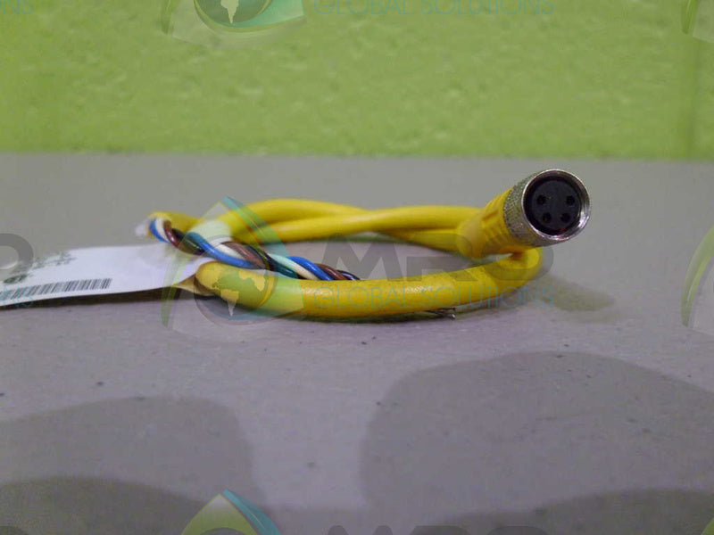 TURCK PKG4M-0.3 CONNECTOR CABLE * NEW NO BAG *
