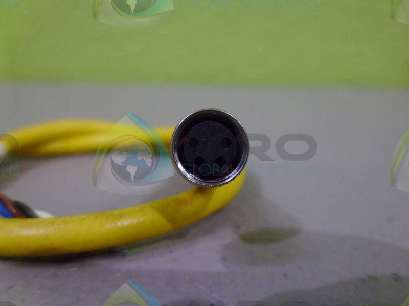 TURCK PKG4M-0.3 CONNECTOR CABLE * NEW NO BAG *