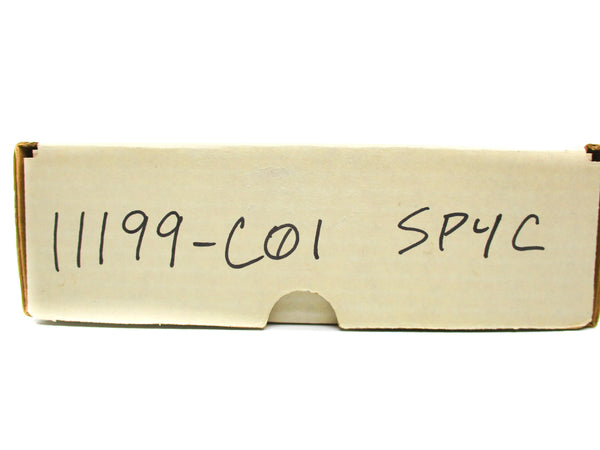 11199-C01 NSMP