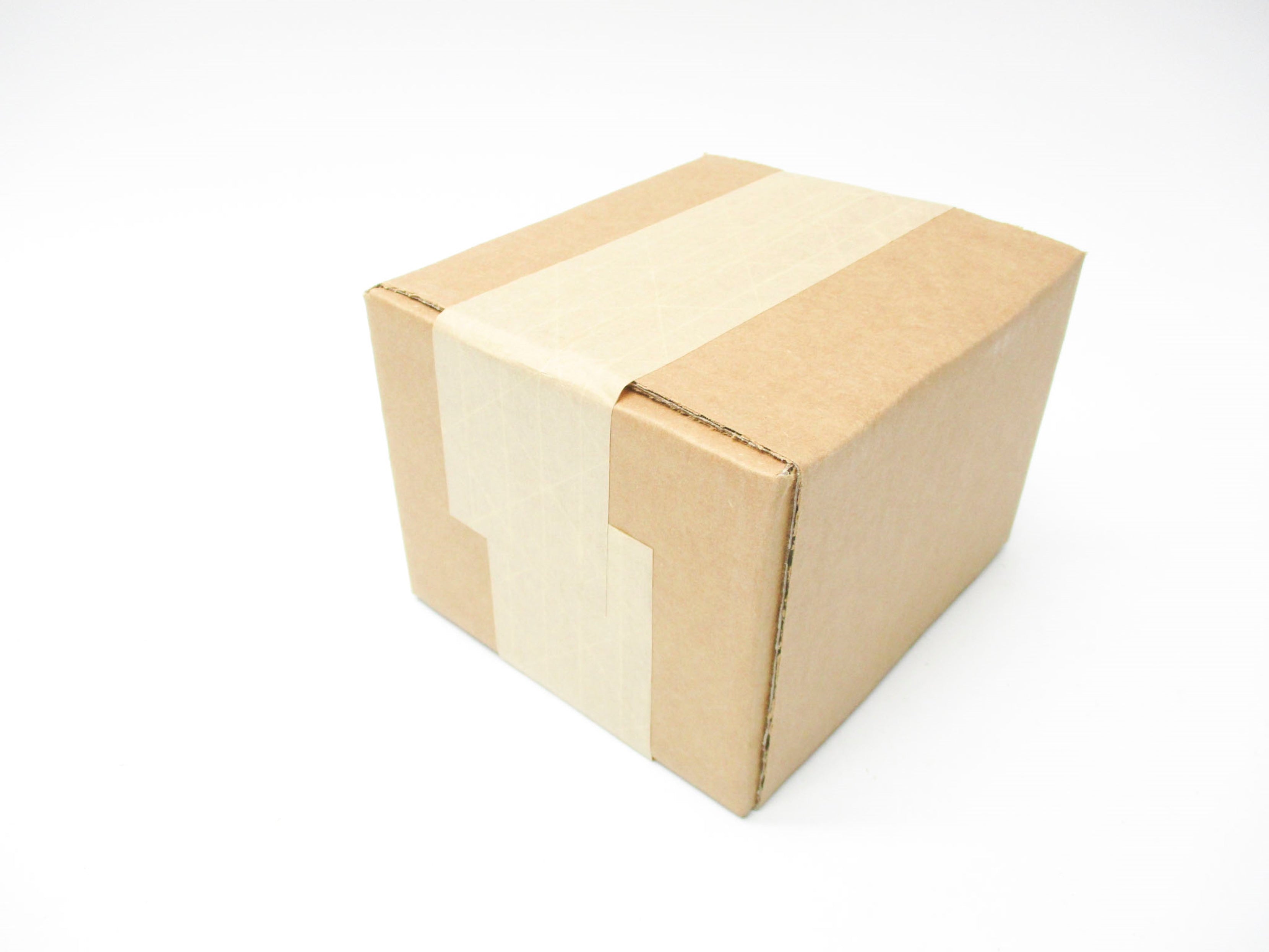 ALLEN BRADLEY 1494V-FS100 SER. D (BR/WH) NSFS