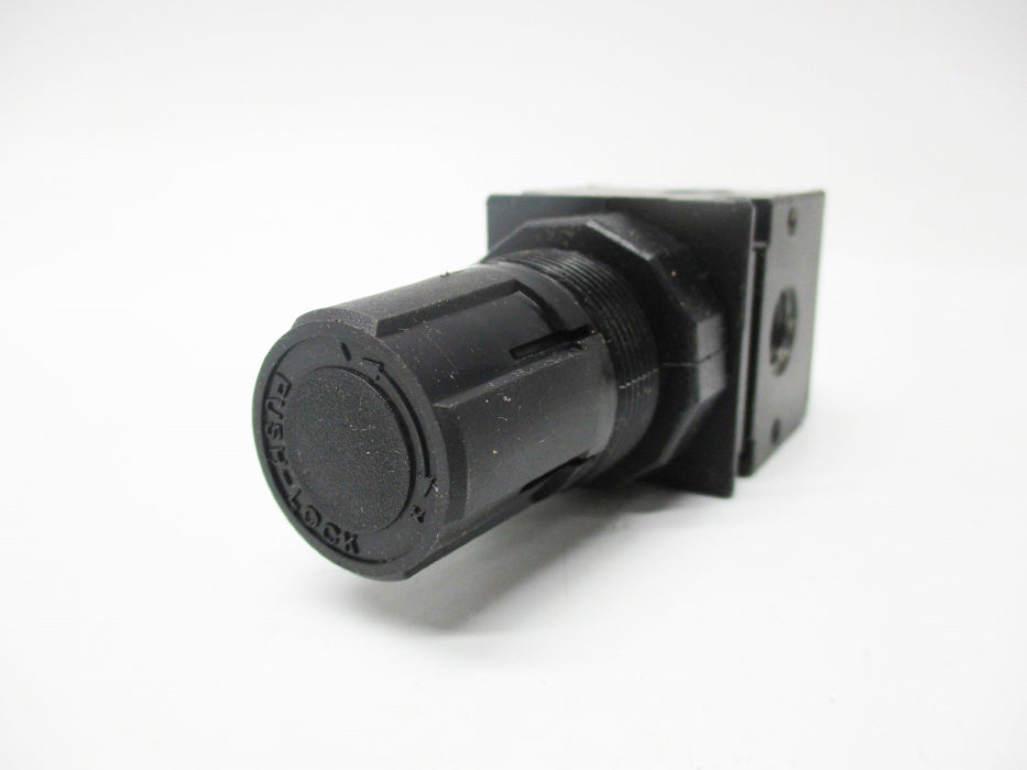 WATTS R35-02C 300PSI 1/4"  NSMP