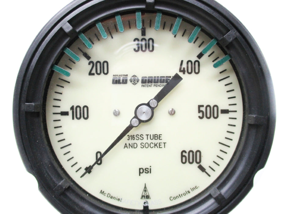 MCDANIEL AB61024 0-600PSI NSMP