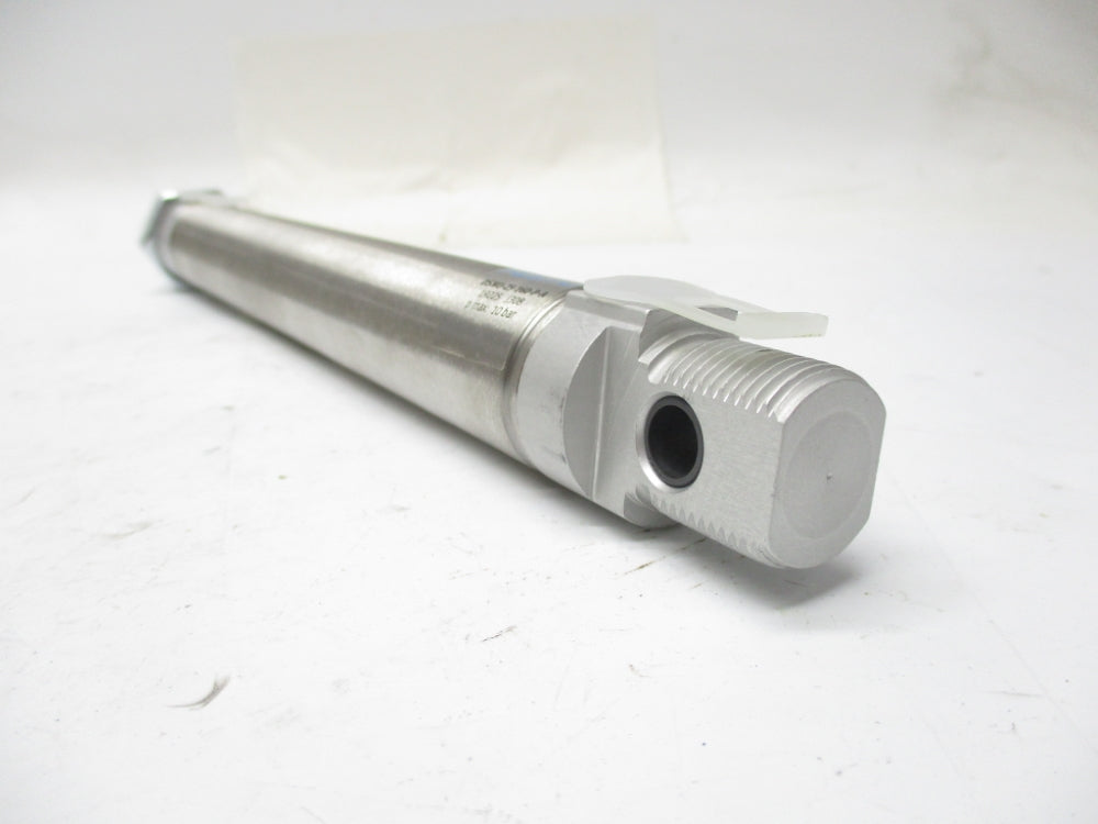 FESTO DSNU-25-160-P-A 19225 NSNP