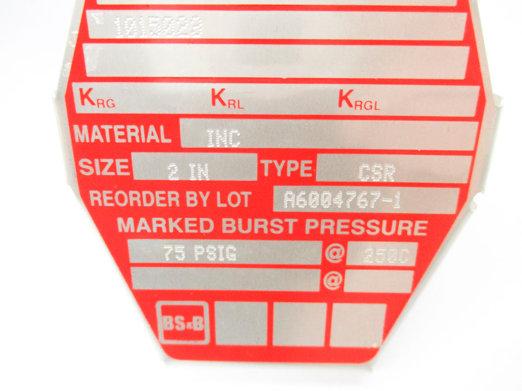 BS&B A6004767-1 75PSI 250'C NSMP