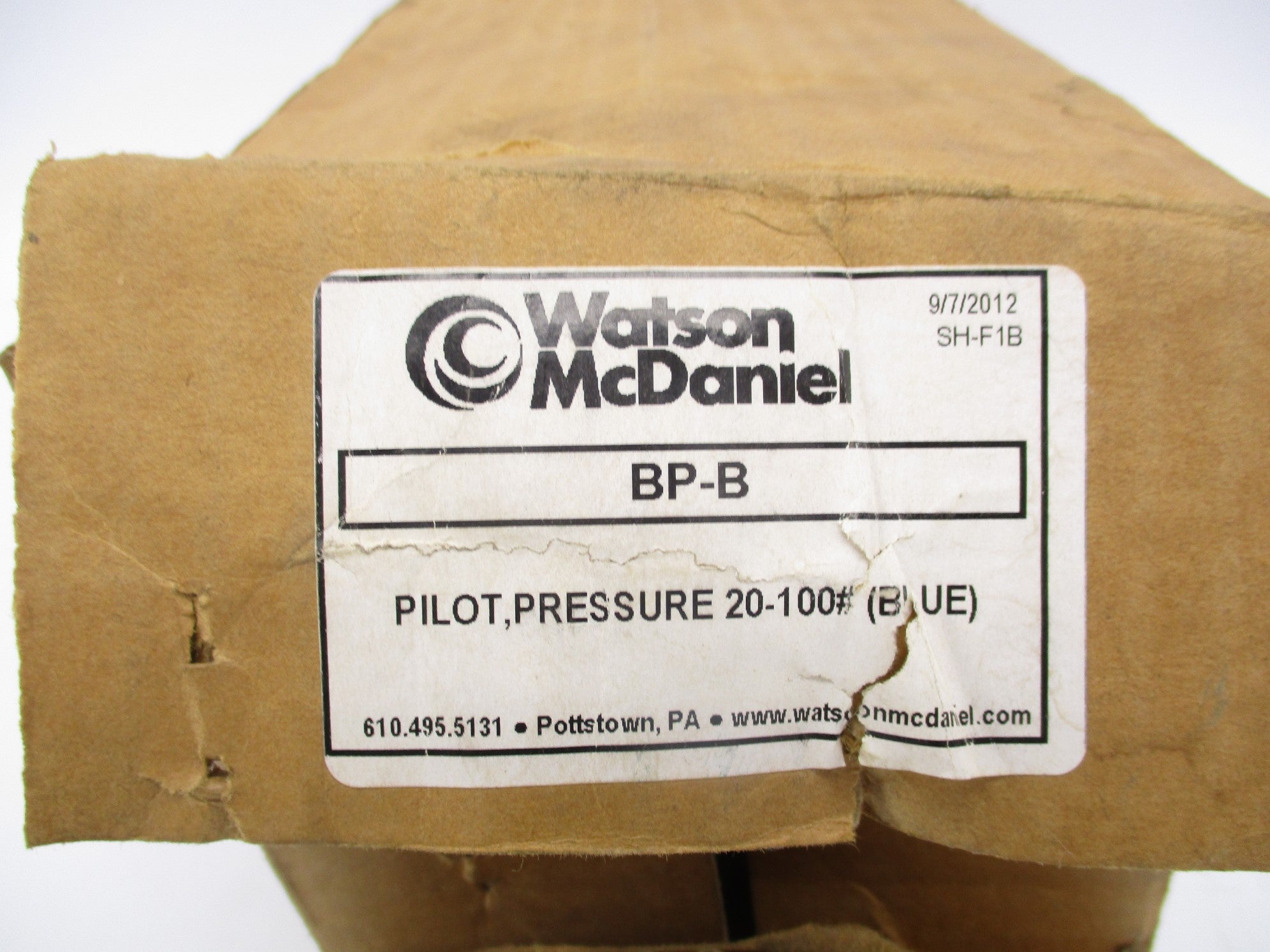 WATSON MCDANIEL BP-B 20-100PSI NSMP