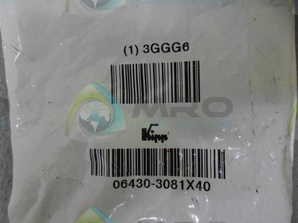 3GGG6 NSNP IN BAG