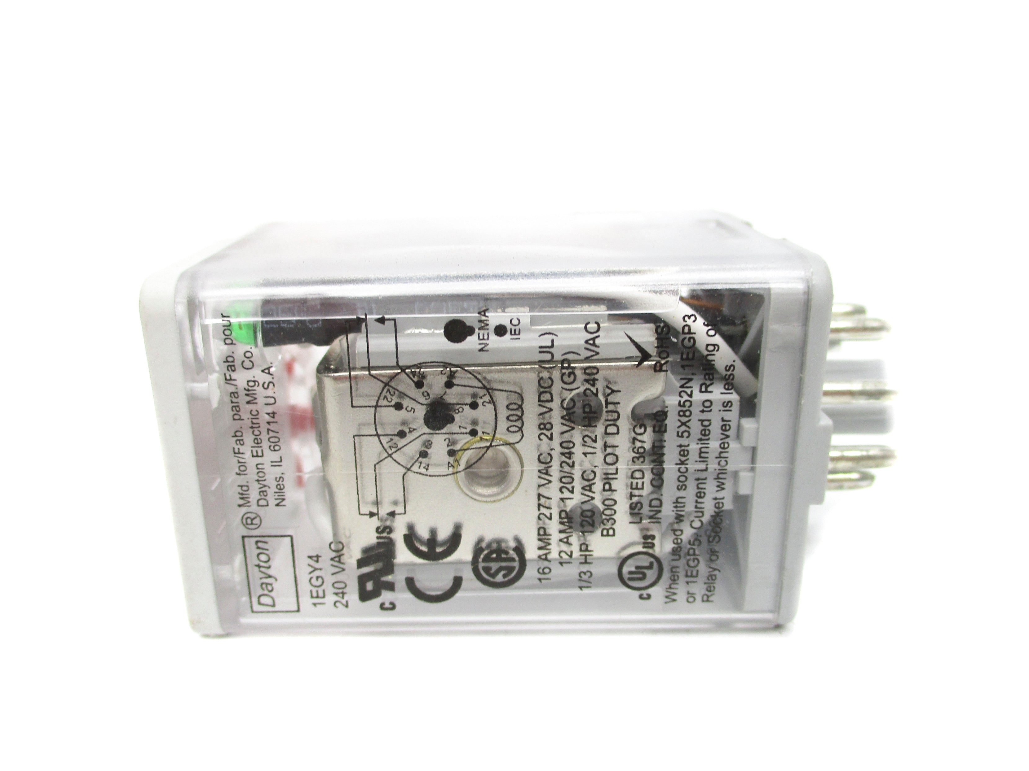 DAYTON 1EGY4 240VAC 16A NSMP