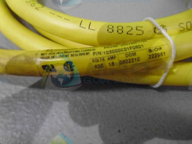 WOODHEAD 103000C01F0601 FEMALE REPLACEMENT CABLE *NEW NO BOX*