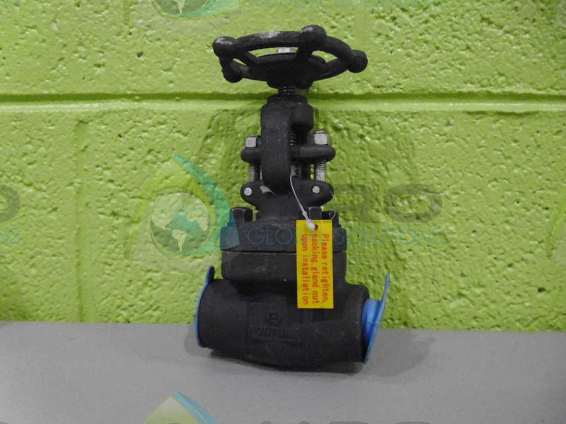 FORTUNE A105N VALVE *NEW NO BOX*