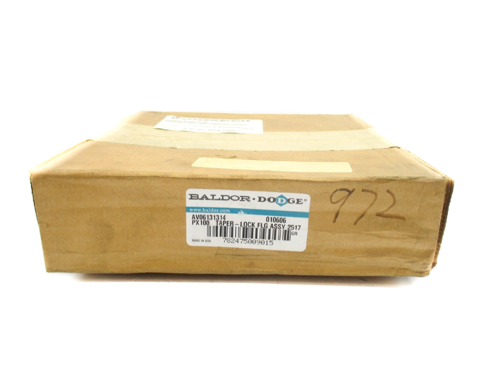 DODGE 010606 AV06131314 NSFS